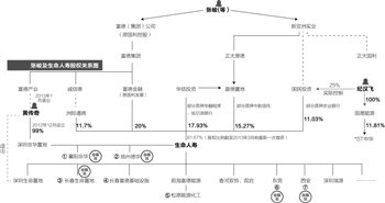 生命人寿372亿险资地王调查：神秘股权控制体系