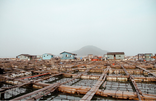 鲍鱼养殖场全貌