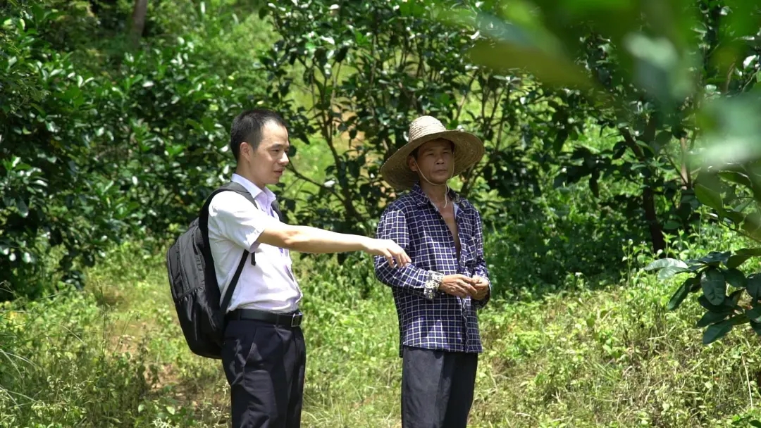 金融助理入山林调查.webp.jpg